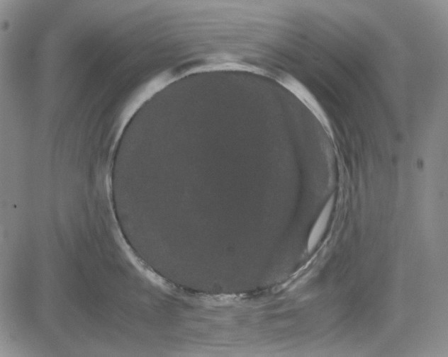 X0000080810813200701051148