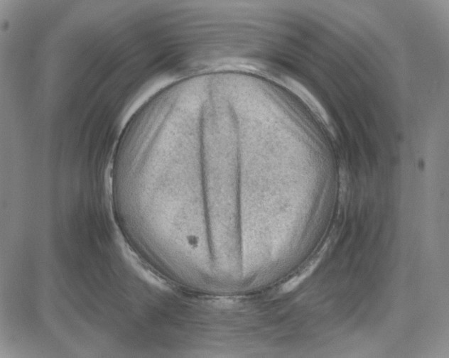 X0000080810814200701051148