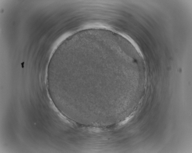 X0000080810815200701051148