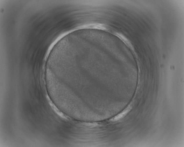 X0000080810816200701051148