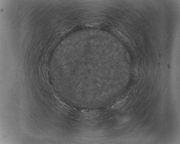 X0000080810817200701051148