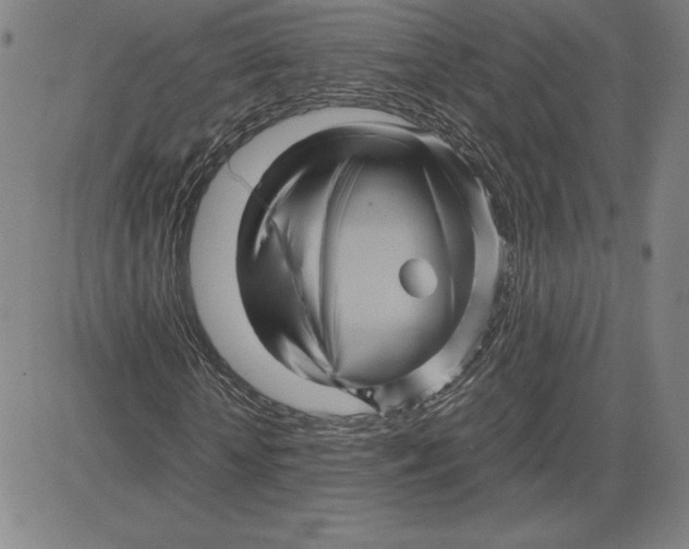 X0000080810818200701051148