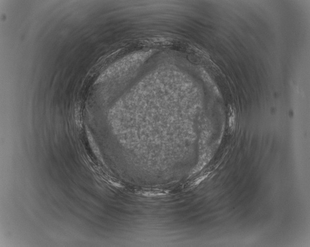 X0000080810819200701051148