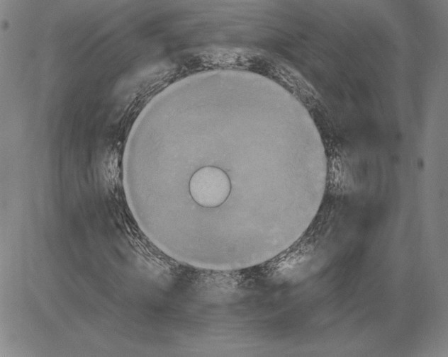 X0000080810820200701051148