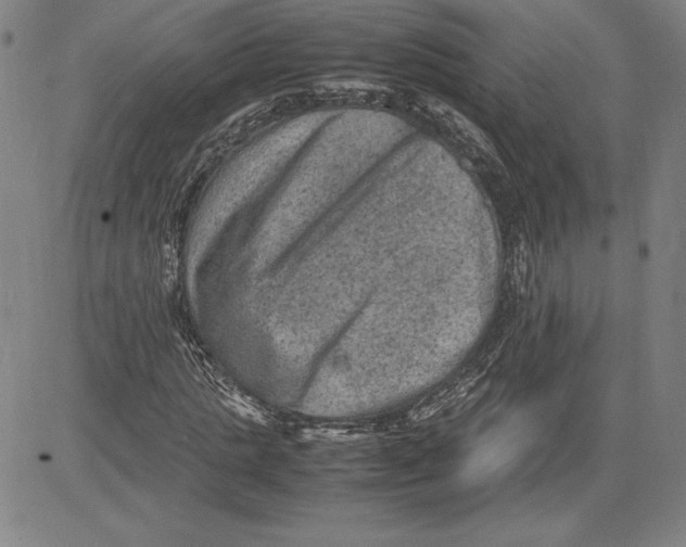 X0000080810821200701051148