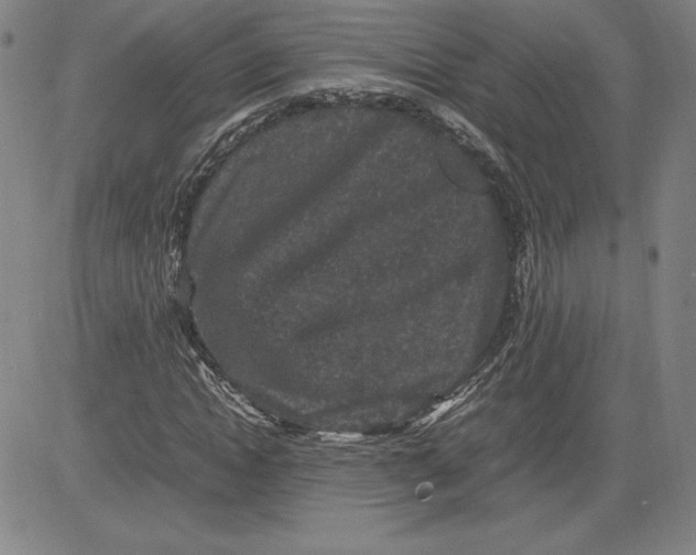 X0000080810822200701051148