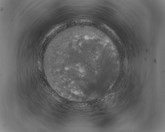 X0000080810823200701051148