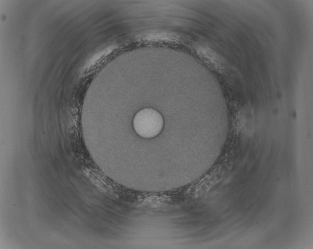 X0000080810824200701051148