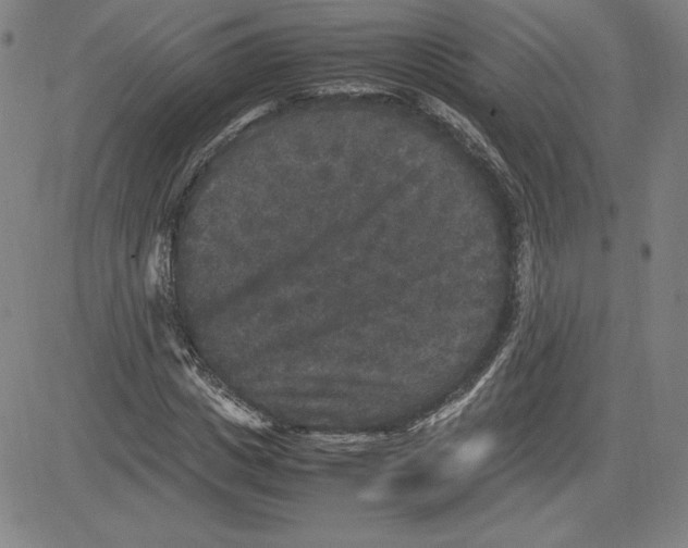 X0000080810825200701051148