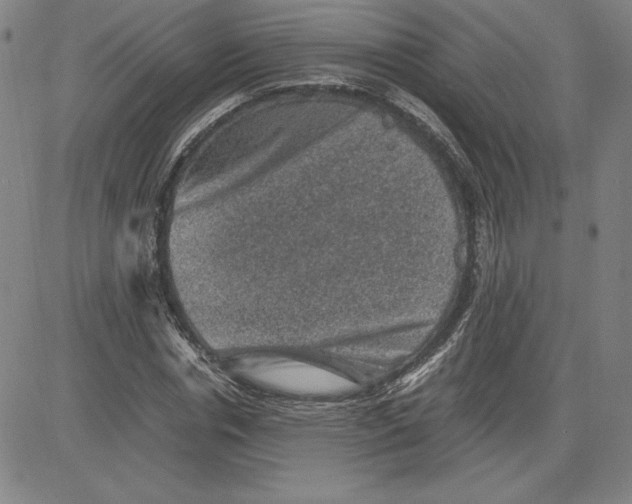 X0000080810826200701051148