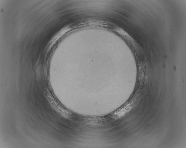 X0000080810828200701051148