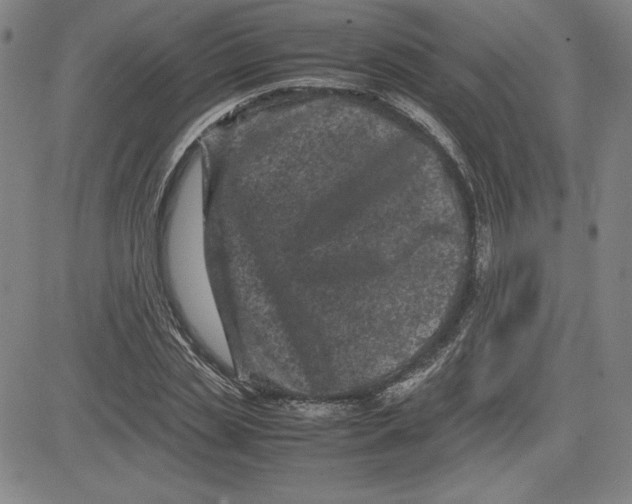 X0000080810829200701051148