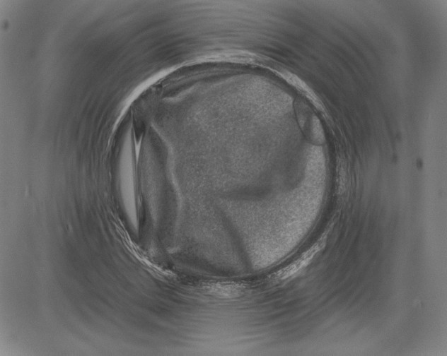 X0000080810830200701051148