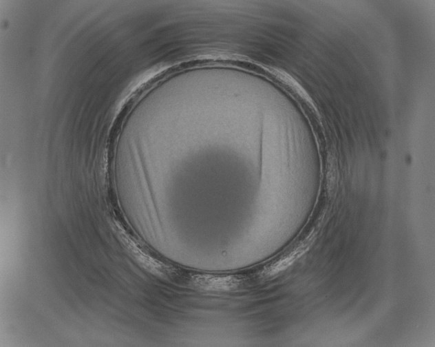 X0000080810831200701051148