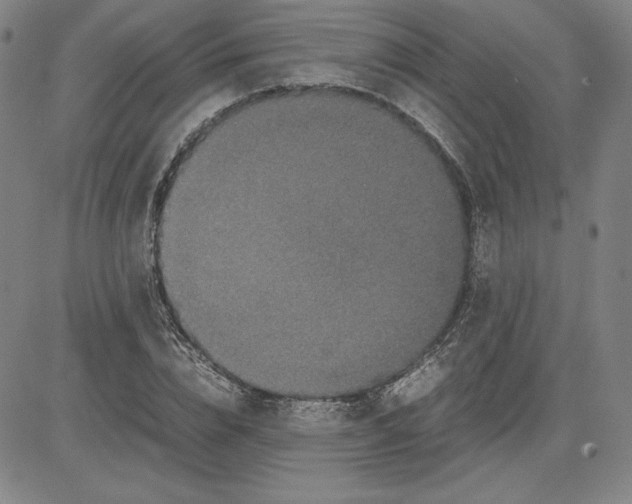 X0000080810832200701051148