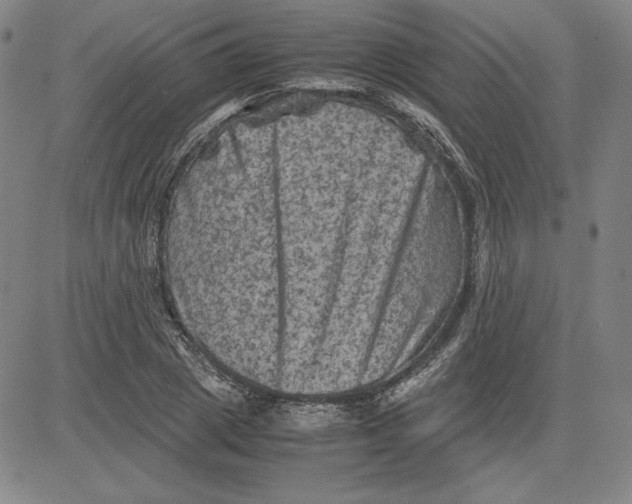 X0000080810833200701051148