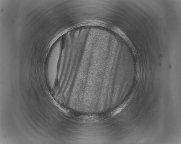 X0000080810834200701051148