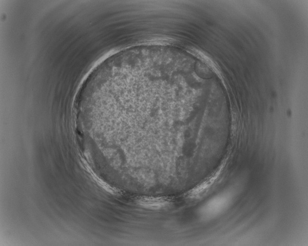 X0000080810835200701051148