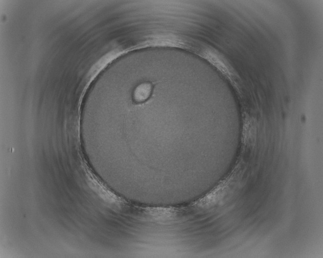 X0000080810836200701051148