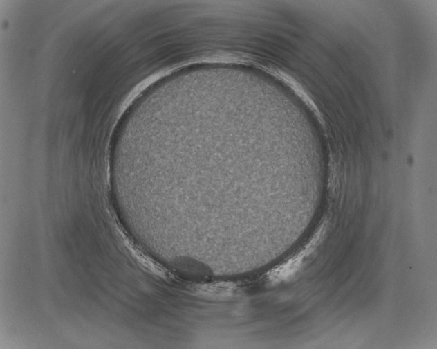 X0000080810837200701051148