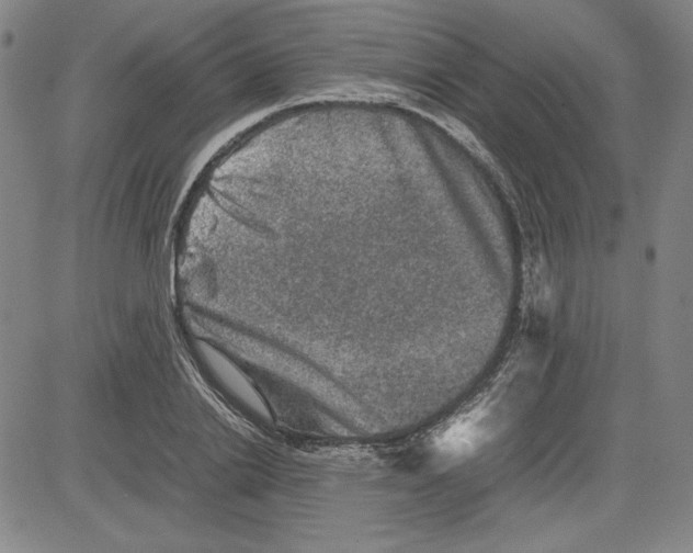 X0000080810838200701051148