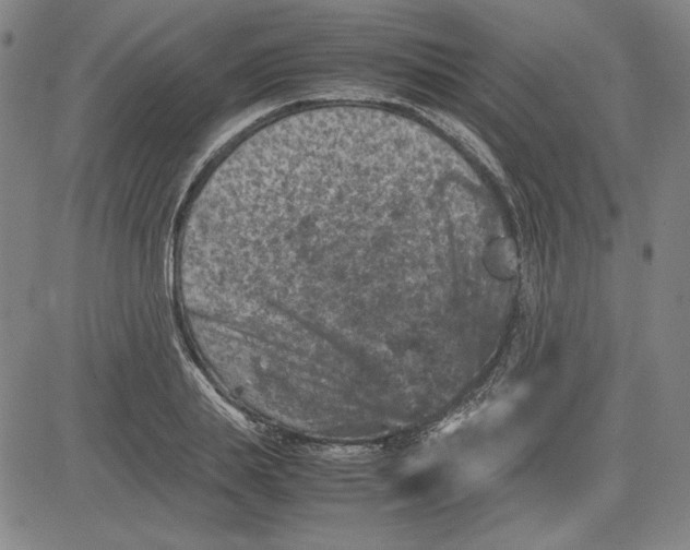 X0000080810839200701051148