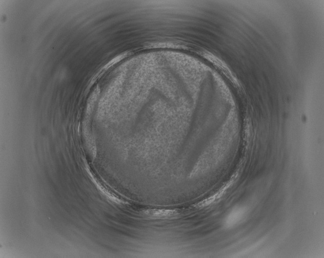 X0000080810841200701051148