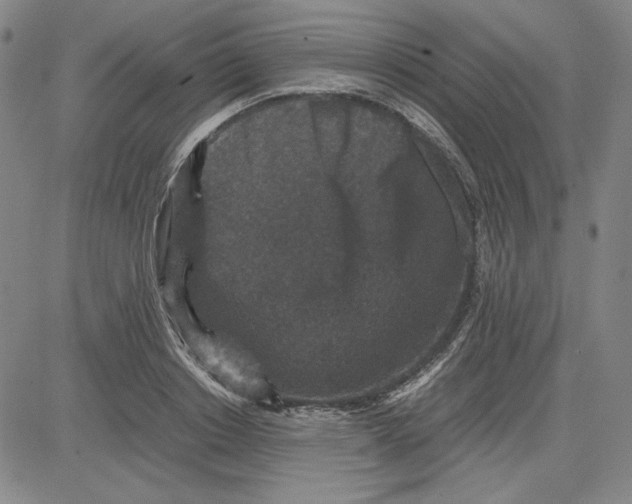 X0000080810842200701051148