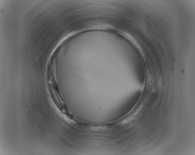 X0000080810843200701051148