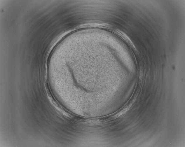 X0000080810844200701051148