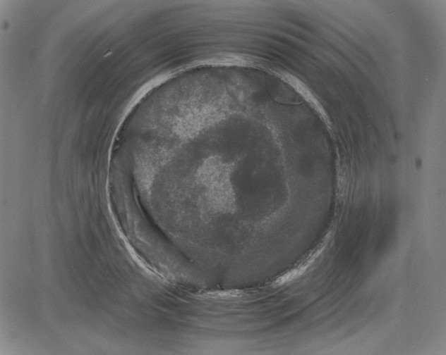 X0000080810845200701051148