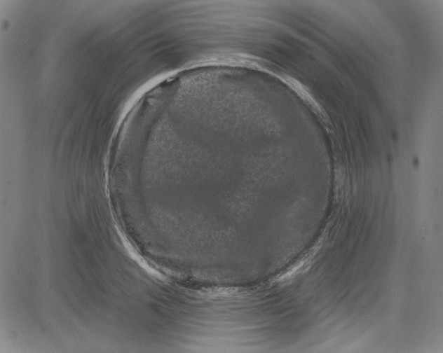 X0000080810846200701051148