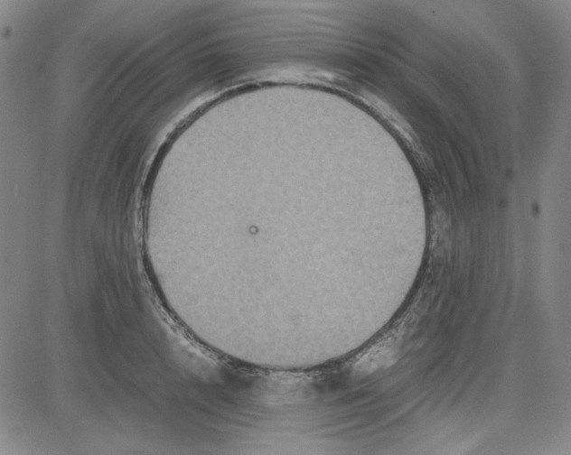 X0000080810848200701051148