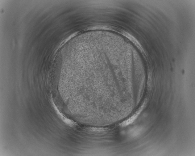 X0000080810849200701051148