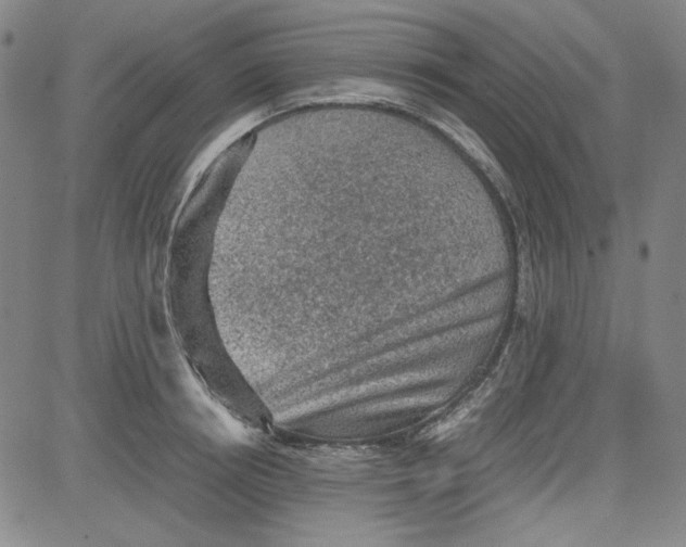 X0000080810850200701051148