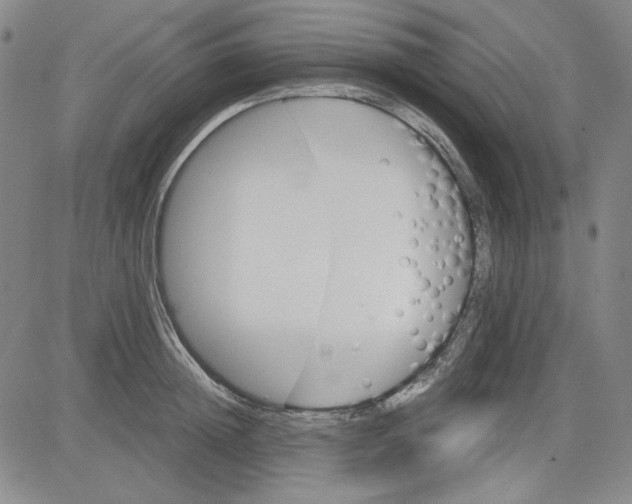 X0000080810852200701051148