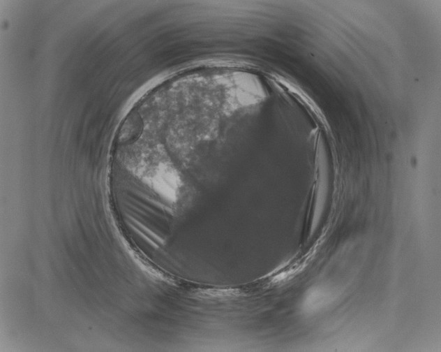 X0000080810853200701051148