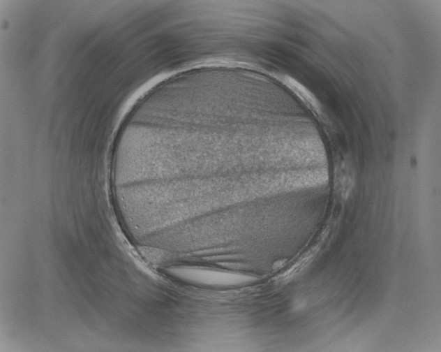 X0000080810854200701051148