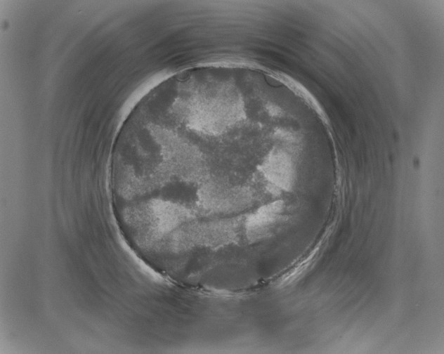 X0000080810855200701051148