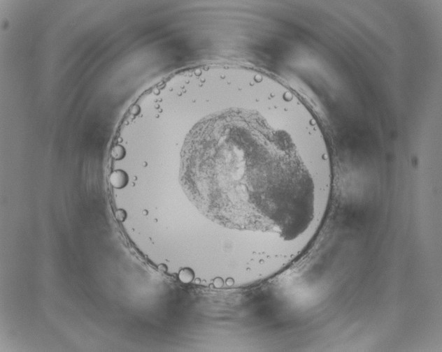 X0000080810856200701051148