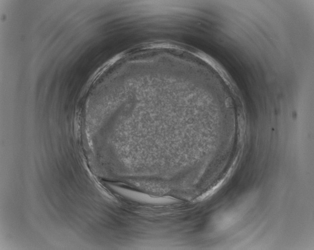 X0000080810857200701051148