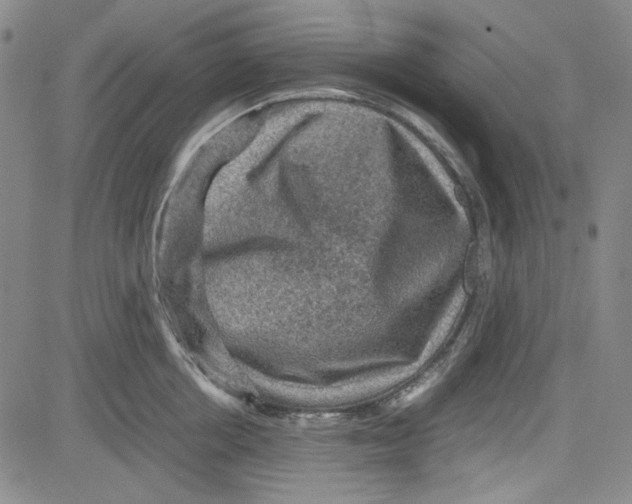 X0000080810858200701051148