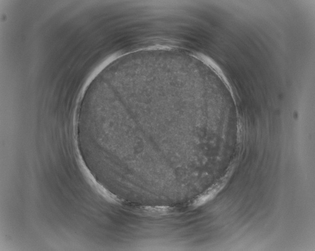 X0000080810859200701051148