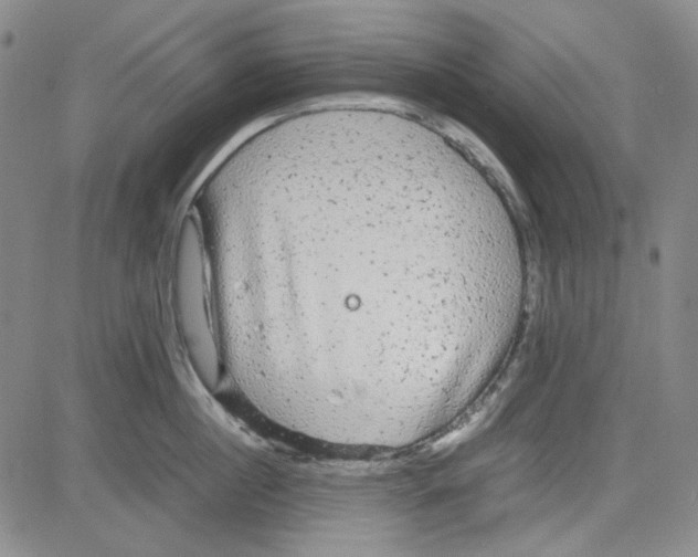 X0000080810860200701051148