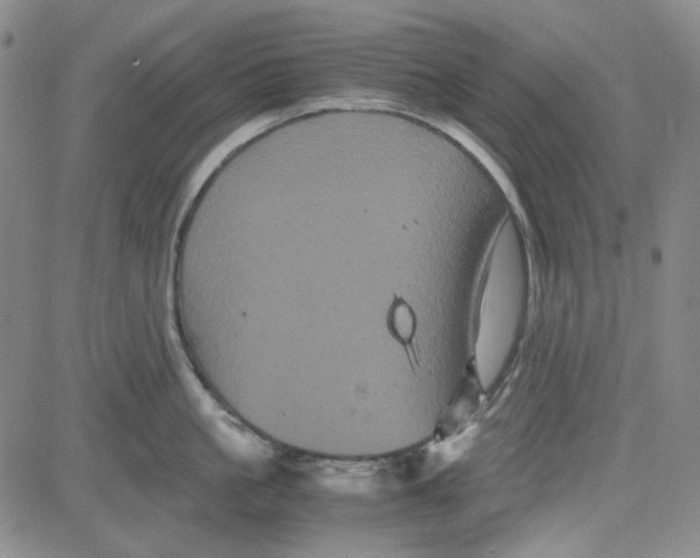 X0000080810861200701051148