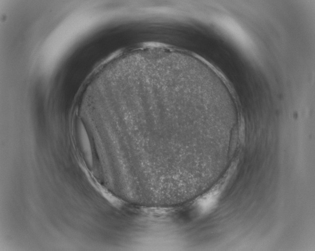 X0000080810862200701051148