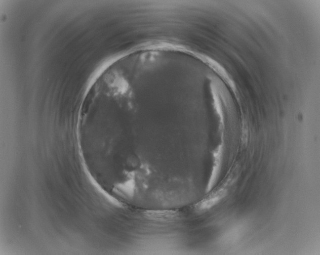 X0000080810863200701051148