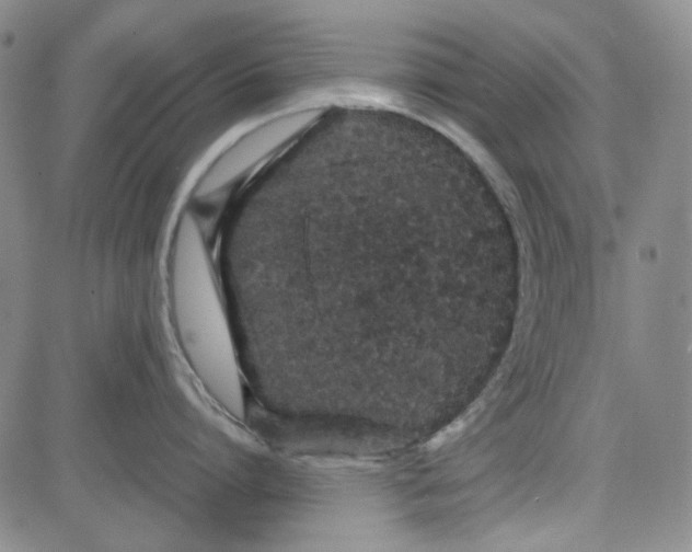 X0000080810864200701051148