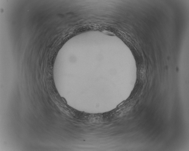 X0000080810865200701051148