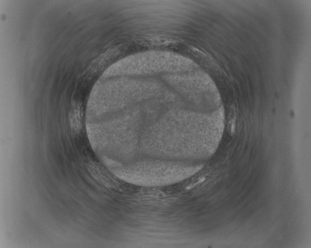 X0000080810866200701051148